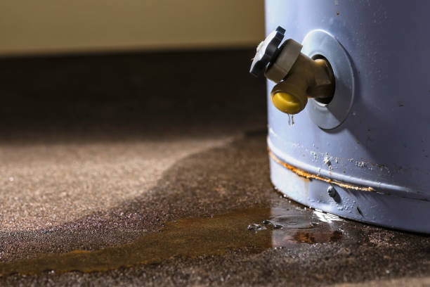 Best Water damage contractors near me  in Clinton, WA