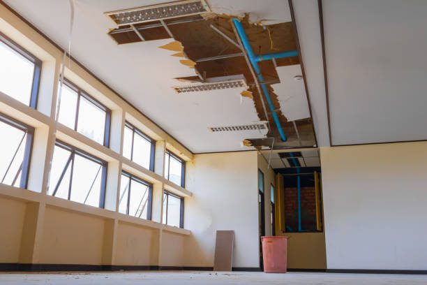 Best Flood damage cleanup  in Clinton, WA