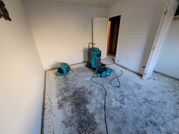Best Water damage cleanup near me  in Clinton, WA