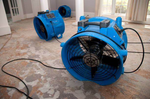 Water damage restoration insurance claims in WA