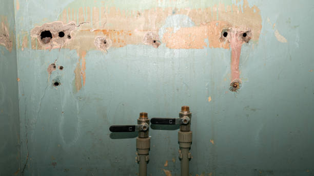 Best Flooded house restoration  in Clinton, WA