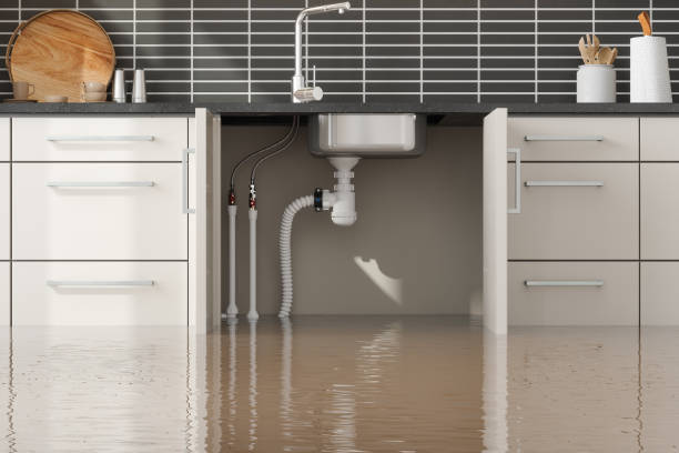 Best Water damage restoration near me  in Clinton, WA