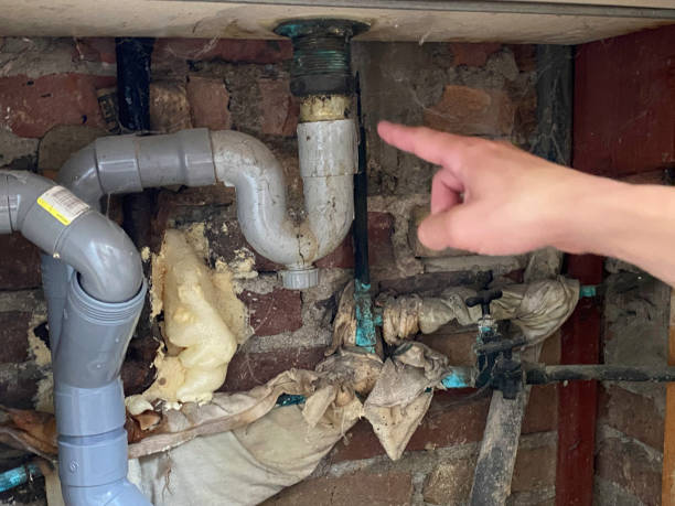 Best Local water damage restoration  in Clinton, WA