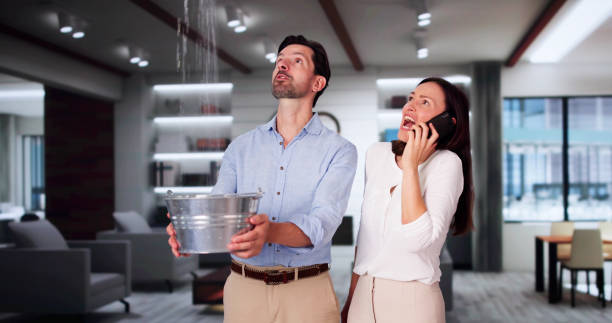Best Carpet water damage restoration  in Clinton, WA